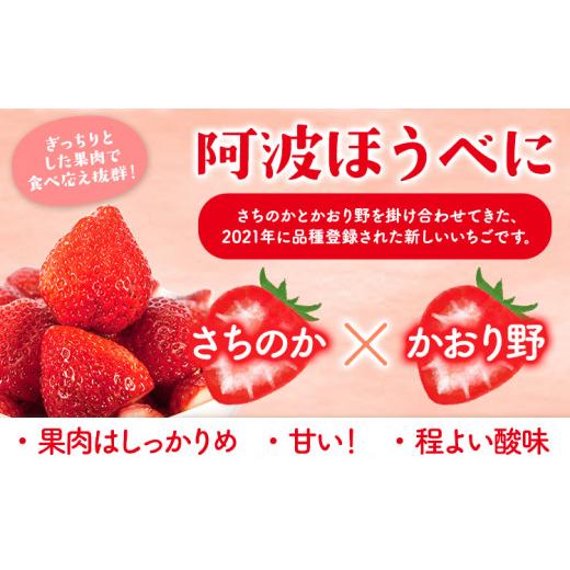 ふるさと納税 徳島県 上板町 いちご 阿波ほうべに 紅ほっぺ 2種 食べ比べ セット 30粒 約900g 鳥羽農園《1月上旬-3月下旬頃発送予定》徳島県 上板町 苺 徳島県…