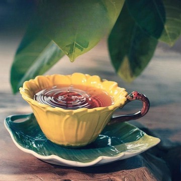 🌈茶杯茶壺🌈北歐田園風小精緻手繪琺琅彩咖啡杯碟創意高顏值花茶杯禮盒套裝茶杯 茶具 煮茶壺 陶瓷茶具 茶具套裝