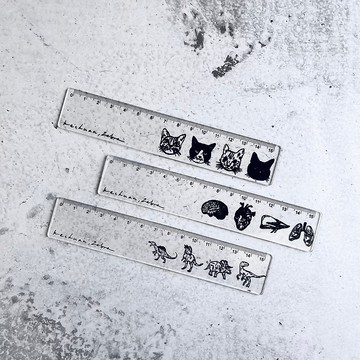 壓克力透明直尺-貓咪/內臟/恐龍