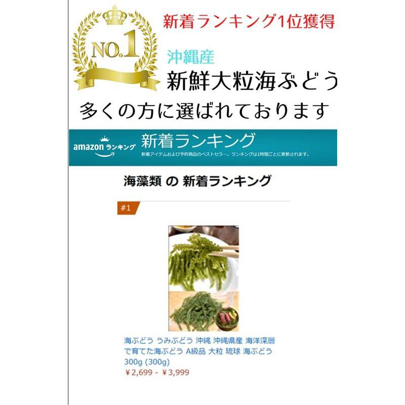 海ぶどう うみぶどう 沖縄 沖縄県産 海洋深層 で育てた海ぶどう A級品 大粒 琉球 海ぶどう300g (300g)