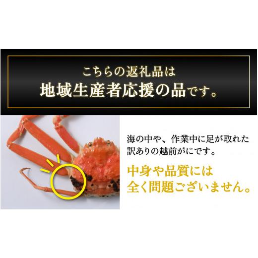 ふるさと納税 福井県 福井市 ＜1月発送分＞蟹好きが唸る老舗カニ料理店の越前茹ズワイ蟹（小1杯）【 越前がに ズワイガニ ずわいがに …