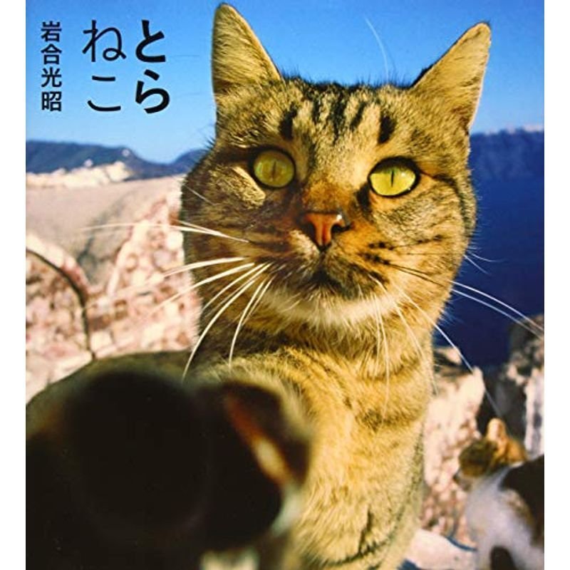 とらねこ (IWAGO'S BOOK)