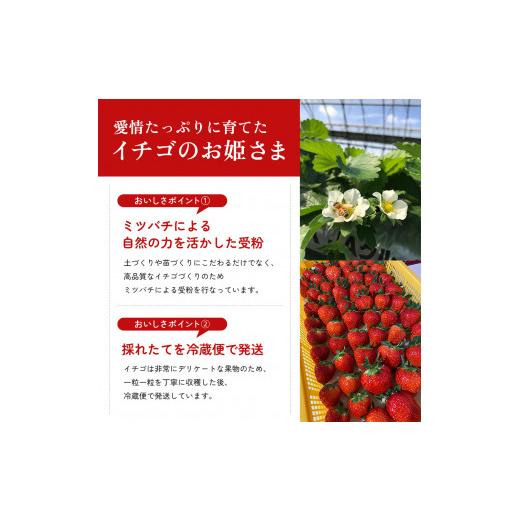 ふるさと納税 香川県 東かがわ市 [No.4631-2075]香川県オリジナル品種！ さぬきひめ苺 400g 化粧箱入り 年内受付