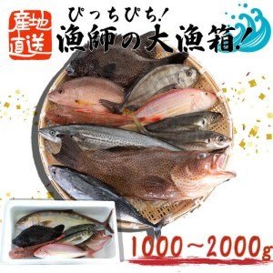 ふるさと納税 魚 鮮魚 ボックス 1〜2kg 旬 鮮度 抜群 おまかせ 詰め合わせ 高知県 須崎市 高知県須崎市