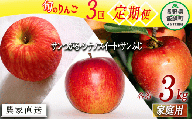 旬のりんご  家庭用 3kg × 3回 永野農園 沖縄県への配送不可 2023年9月上旬頃から2023年12月中旬頃まで順次発送予定 令和5年度収穫分 信州 果物 フルーツ リンゴ 林檎 長野 予約 農家直送 長野県 飯綱町 [1316]