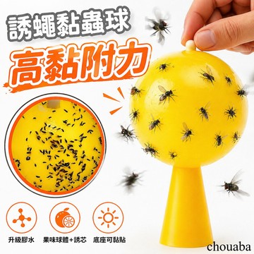 台灣現貨 誘蟲球 果香膠體 附誘蟲芯棒 誘餌式捕蟲貼球 居家餐廳適用 誘蠅球 黏蒼蠅 捕蠅球 捕蠅器  蒼蠅 果蠅