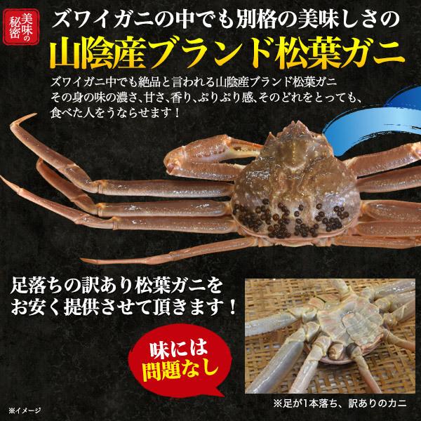 ズワイガニ 生 姿 訳あり 600~700g 活き 松葉ガニ 境港 ズワイガニ お取り寄せ グルメ 国産 カニ 蟹 かに 漁港直送 冷蔵便