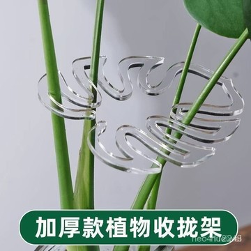 台灣24h🐑龜背竹支撐桿花支撐架枝幹收攏架植物防倒伏支架綠植固定神器花槽 EWNT