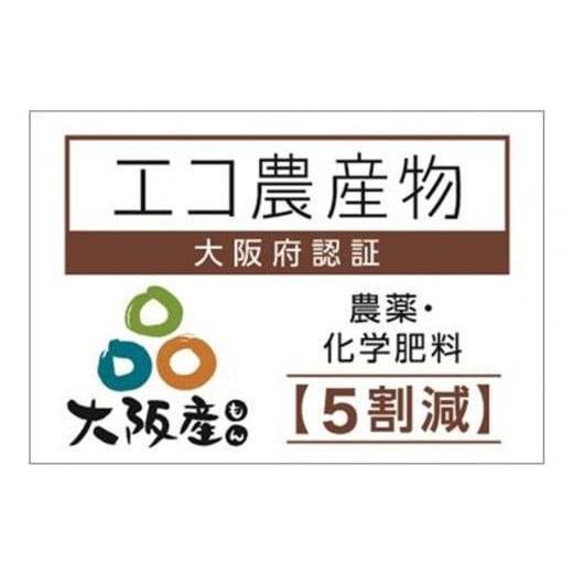 ふるさと納税 大阪府 貝塚市 サニールージュ3〜４房　1.5kg以上　2024年7月下旬月より発送