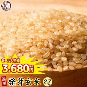 ＼ セール ／ 雑穀 雑穀米 国産 発芽玄米 2.7kg(450g×6袋) 送料無料 ダイエット食品 置き換えダイエット