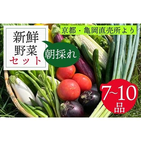 ふるさと納税 訳あり 新鮮 季節の野菜 セット 7〜10品目 農家直送 朝採れ 亀岡 佐伯の里 京都丹波産 家計応援 生活応援 京都府亀岡市