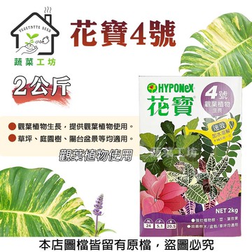 花寶4號2公斤