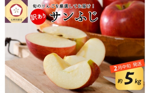   りんご 約5kg サンふじ 青森産