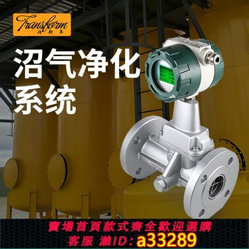 {可打統編 超低價}【脫硫環節專用】沼氣凈化系統用旋進漩渦流量計