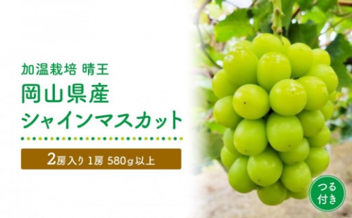 GV10　岡山県産シャインマスカットつる付き2房入り（1房580ｇ以上）＜2024年発送＞