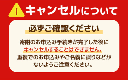 福岡県産 あまおうG以上 4パック 定期便3回 合計3000g 先行予約 2024年1・2・3月に発送予定　TY034