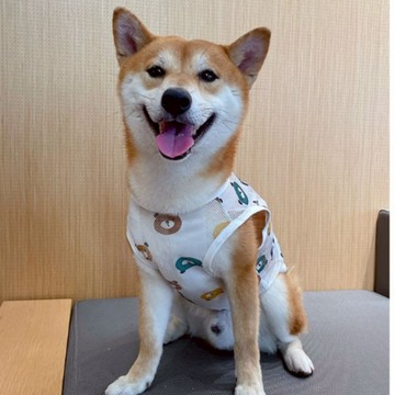 【汪喵森活】 4款 透氣背心 防曬背心 寵物背心 小熊 長頸鹿 檸檬 寵物衣服 狗衣服 柯基 法鬥 柴犬 比熊 貴賓