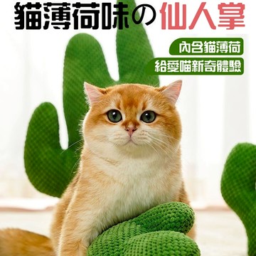 ⭐【回彈性好】🌵貓咪仙人掌玩具 貓咪玩具 逗貓玩具 貓薄荷玩具 貓咪燈芯絨玩具 小貓自嗨解悶神器 貓咪磨牙玩具 耐抓耐咬