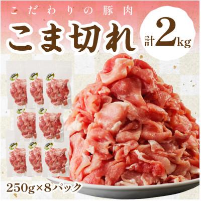 ふるさと納税 京丹後市 京都産こだわりの豚肉 こま切れ　2kg