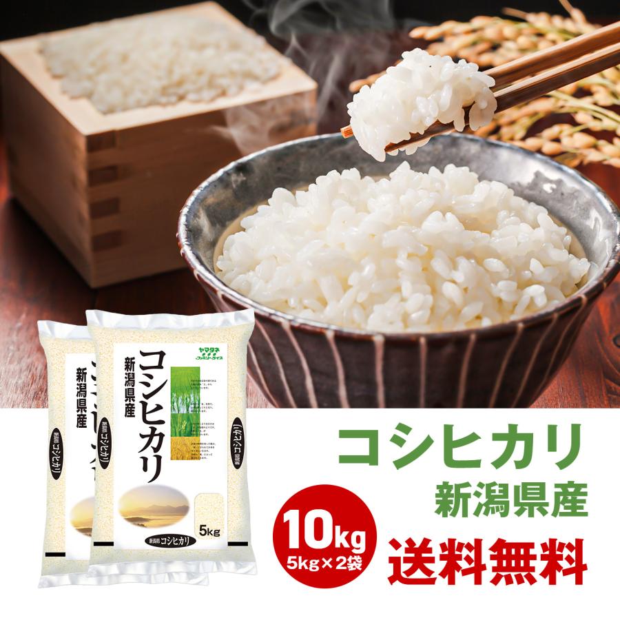 令和5年度 新米 お米 10kg コシヒカリ 米 5kg 2袋セット 新潟 国産 日本産 10キロ 白米