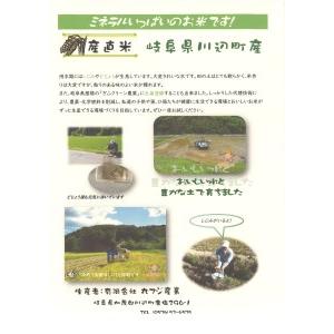 ふるさと納税 A-45　高橋さんのこだわり玄米10kg 岐阜県川辺町