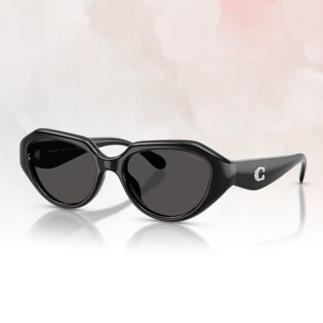 【COACH】不規則形膠框太陽眼鏡(HC8433U-500287)