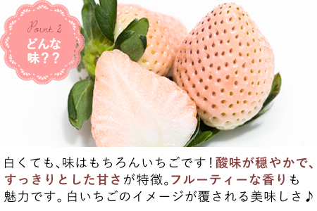 『予約受付』白いちご 雪うさぎ 450ｇ入り化粧箱（佐賀県唐津市限定生産）苺 イチゴ 希少 果物 フルーツ