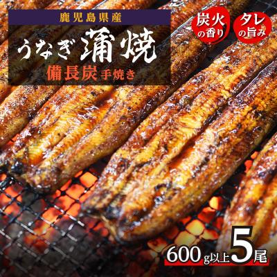 ふるさと納税 大崎町 うなぎ備長炭手焼蒲焼5尾600g