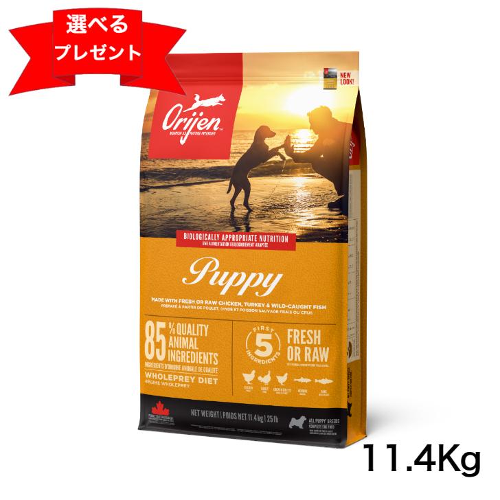 オリジン パピー 11.4Kｇ ドッグフード 正規品 カナダ産 子犬