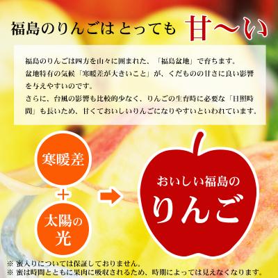 ふるさと納税 福島市 菅野房吉商店　ふくしまのサンふじりんご　5kgNo.2419