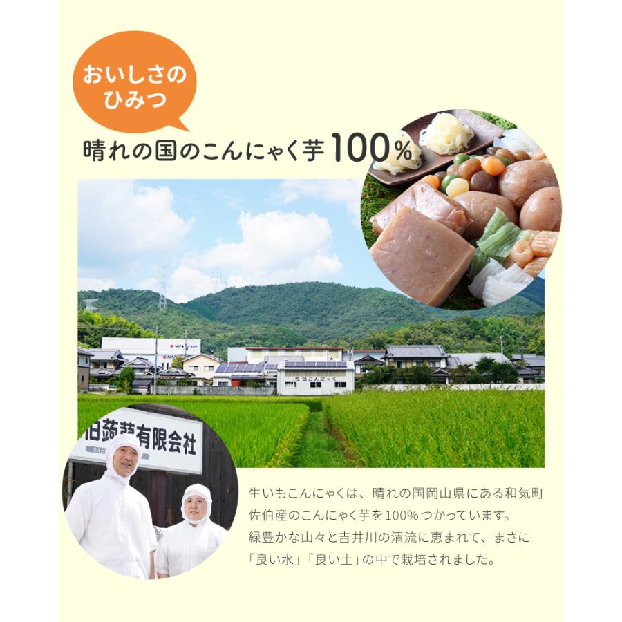 岡山県産 生いも こんにゃく 詰め合わせ 10点セット Aセット   角こんにゃく 糸こんにゃく 産地直送 国産 日本製