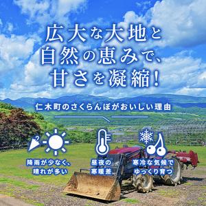 ふるさと納税 先行予約 北海道 仁木町産 ご自宅用 さくらんぼ （ 徳用 ）約2kg 仁木ファーム果実 フルーツ 名産地  お取り寄せ 北海道仁木町