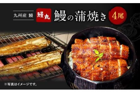 鰻丸 九州産鰻 蒲焼 4尾セット うなぎ ウナギ 蒲焼き