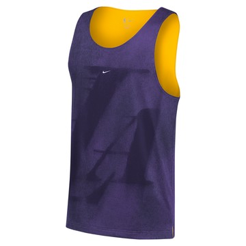 Los Angeles Lakers Standard Issue Nike Men's Mesh Basketball Jersey