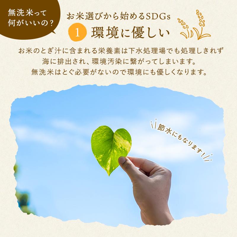 新米 令和5年産 無洗米 30kg 送料無料 米 お米 ミルキークイーン 流るる 野沢農産 長野県産 精米 5kg ×6袋 無洗米 30kg