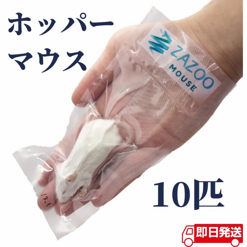 ZAZOO 国産 冷凍マウス ホッパー マウス 10〜15g 約6.5cm 真空 個別