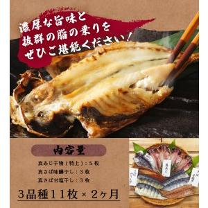 ふるさと納税 干物詰合せ定期便2ヶ月（2回） 静岡県下田市