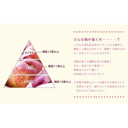 ふるさと納税 岡山県産 白桃 約4kg 8〜15玉（令和６年7月以降発送） 岡山県備前市