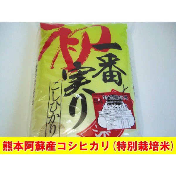 熊本阿蘇産　特別栽培米コシヒカリ5kg 26年産新米 こしひかり|九州のお米