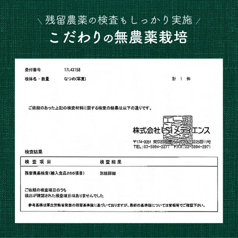 青龍棗 2袋セット 無農薬 ドライ 乾燥 フリーズドライ 漢方 運龍堂 仙台の漢方専門薬局 ドライフルーツ 健康食品 乾燥ナツメ 乾燥なつめ 乾燥果実