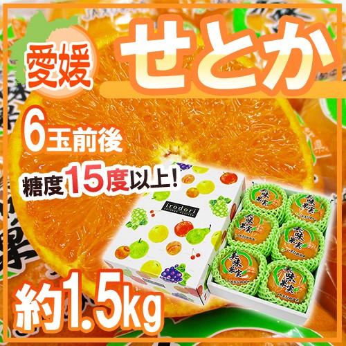 愛媛産 ”せとか” 秀品 6玉前後 約1.5kg 化粧箱 最低糖度15度以上 送料無料