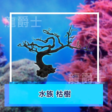 ✨現貨✨[龍爵士水族]水族 枯樹 裝飾品 造景 擺飾 飾品 擺件 魚缸造景 魚缸擺飾 魚躲藏  Z20