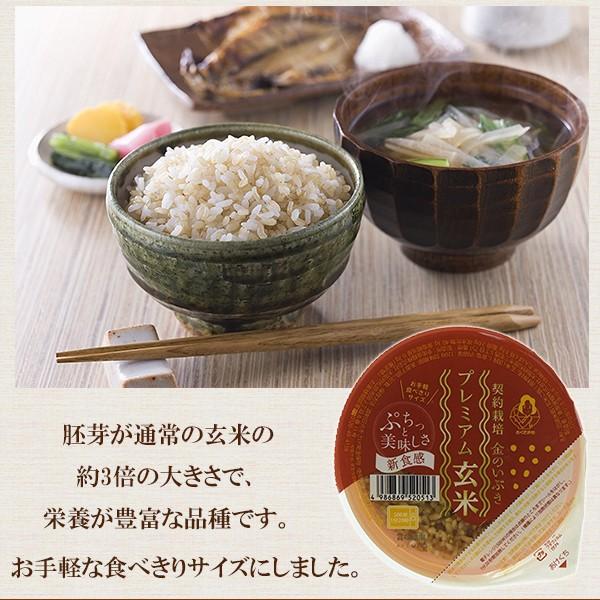 24個セット　金のいぶき プレミアム玄米 ごはん120ｇ×24 玄米レトルト 玄米ごはんパック 幸南食糧