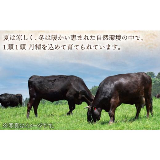 ふるさと納税 長崎県 佐々町 長崎和牛 切り落とし 約800g [QAK009] 牛肉 モモ バラ しゃぶしゃぶ すき焼き …