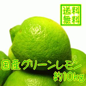 国産(和歌山有田産)グリーンレモン 約10ｋｇ(ノーワックス)(防腐剤不使用)(減農薬)