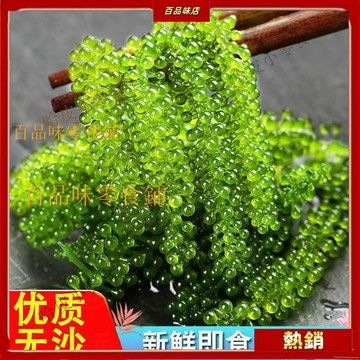 🔥哈皮 免運 🔥海葡萄100g新鮮活卽食長壽菜海藻菜海菜裙帶菜壽司綠色醃漬 海葡萄 鮮美 裙帶菜 送醬料 新鮮 可保存