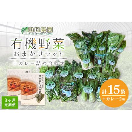 ふるさと納税 定期便 ３ヶ月 山口農園 有機野菜 おまかせセット＋カレー２箱 詰合せ 冷蔵 月１回 ／ オーガニック 伝統野菜 レトルトカレー 奈良.. 奈良県宇陀市