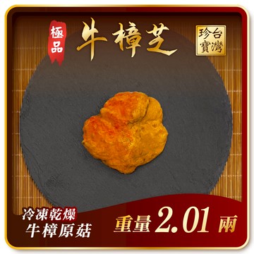 寶芝靈極品嚴選｜牛樟椴木子實體（冷凍乾燥牛樟菇20000以上品級）約2.01兩