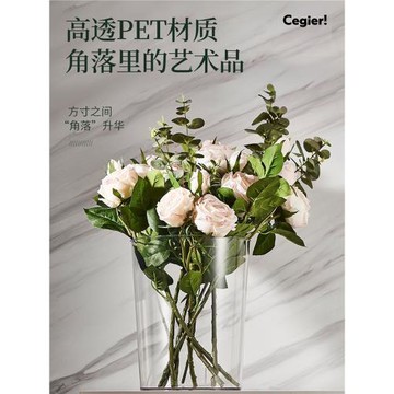 Cegier高顏值輕奢透明垃圾桶客廳廚房臥室辦公室大容量家用 |硫束