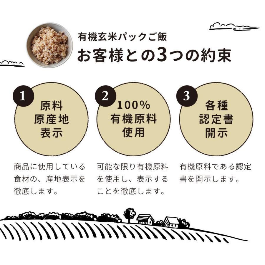 100%有機原料 玄米レトルトパックご飯 160g×5個 送料無料 おにぎり お弁当 TSG